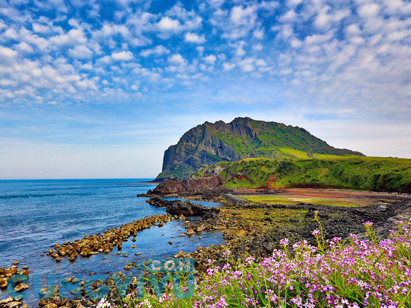 Đảo Jeju Hàn Quốc